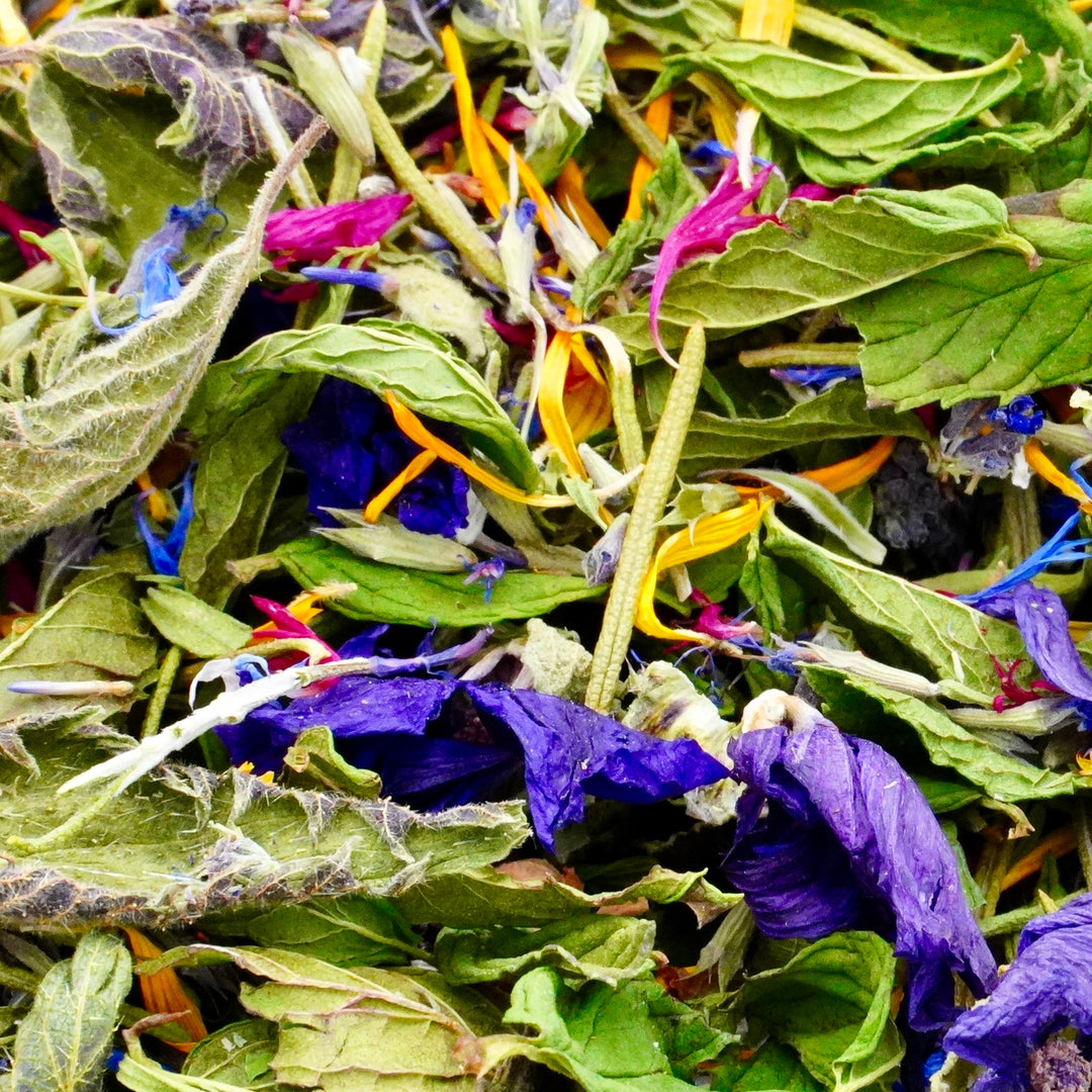 Infusion Bio Nature RACINES RADIEUSES