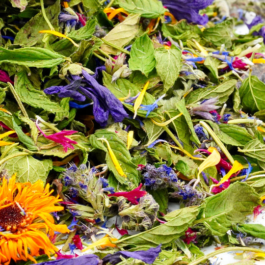 Infusion Bio Nature RACINES RADIEUSES