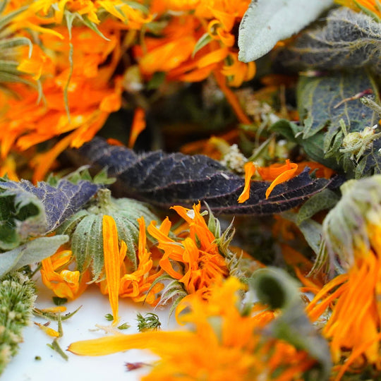 Infusion Bio Nature FEMME