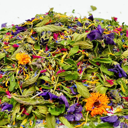 Infusion Bio Nature RACINES RADIEUSES