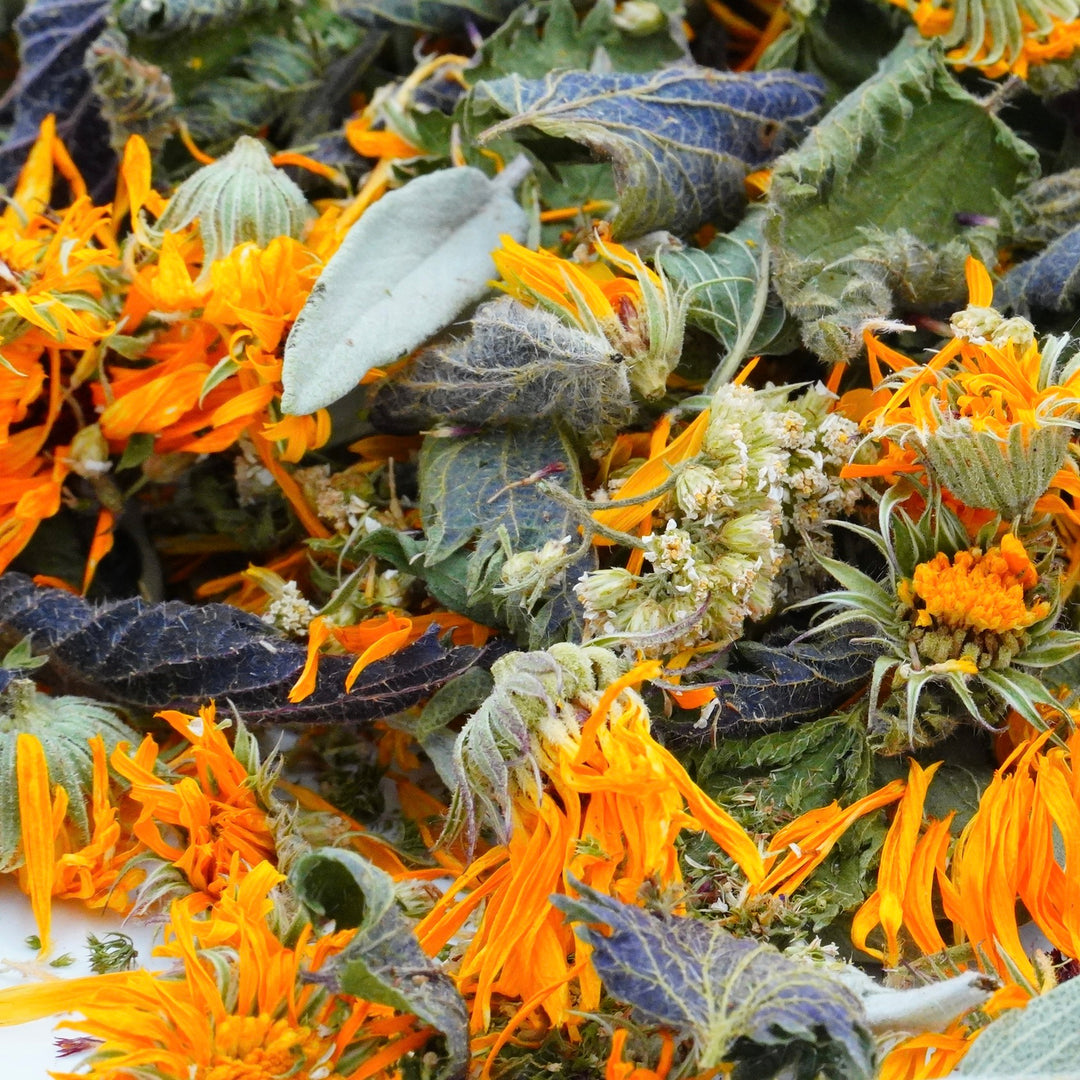 Infusion Bio Nature FEMME