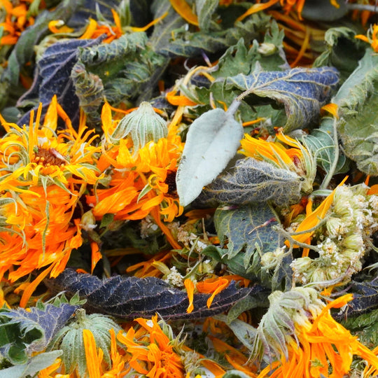 Infusion Bio Nature FEMME