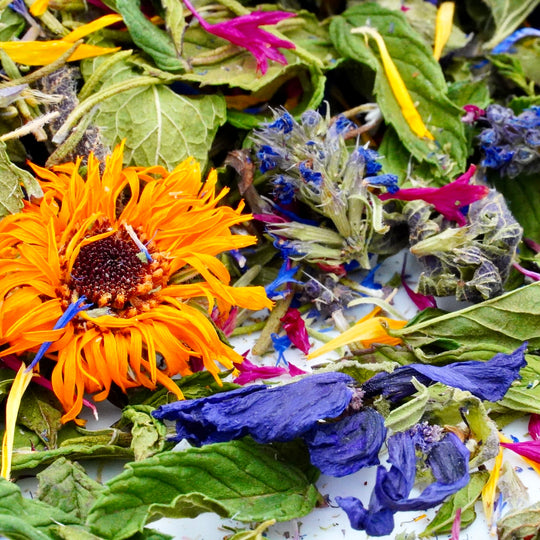 Infusion Bio Nature RACINES RADIEUSES