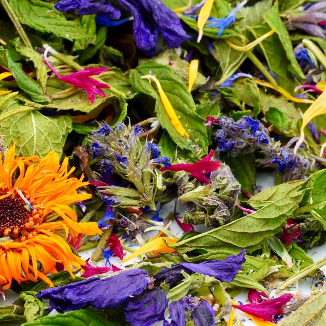 Infusion Bio Nature RACINES RADIEUSES