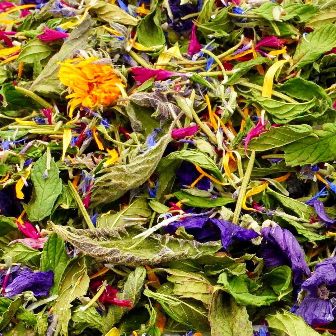 Infusion Bio Nature RACINES RADIEUSES