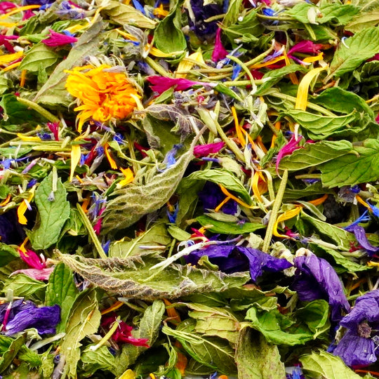 Infusion Bio Nature RACINES RADIEUSES