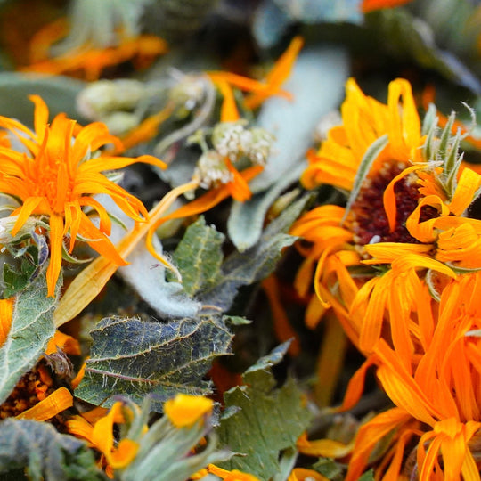 Infusion Bio Nature FEMME