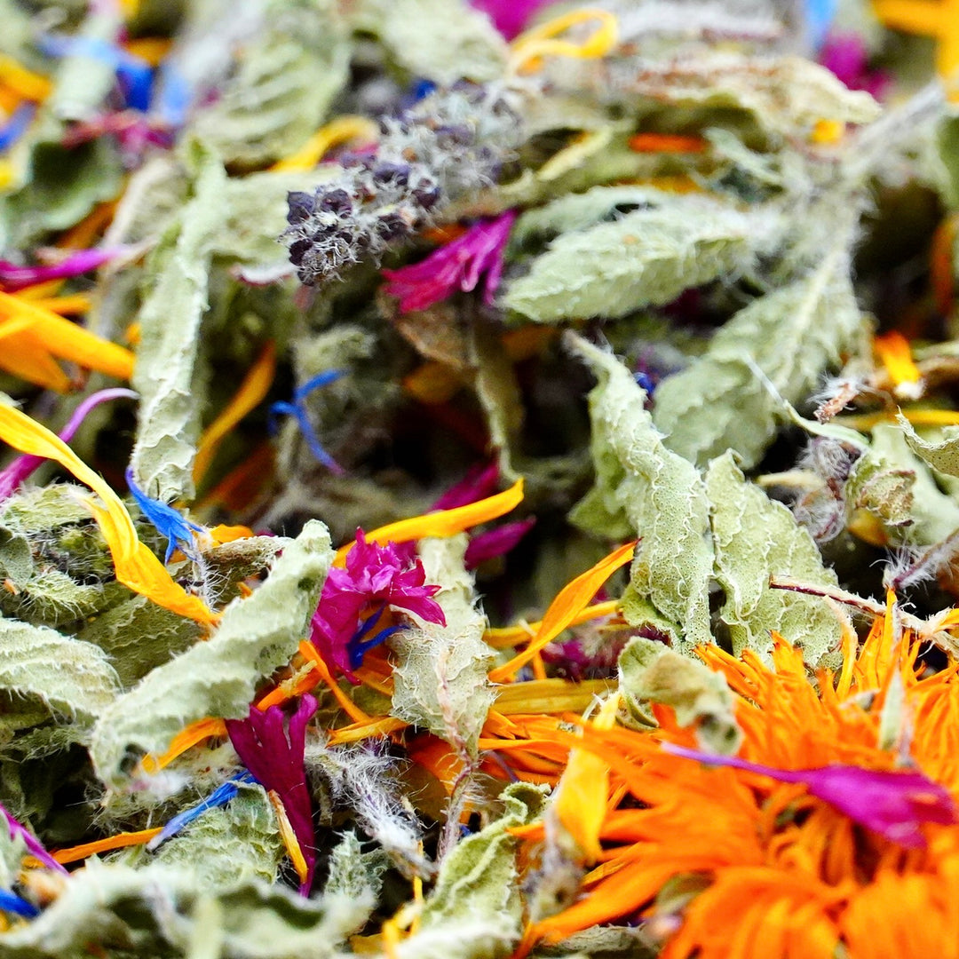 Infusion Bio Nature YOGA