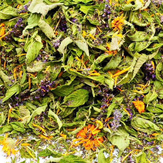 Infusion Bio Nature Été SUMMER