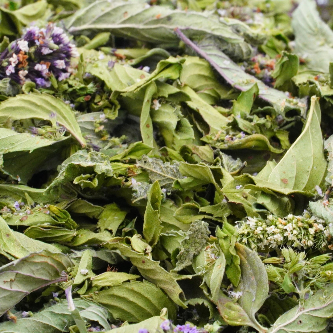 Infusion à la Menthe Bio Nature TRIO deMENTA Bergamote