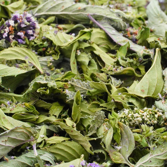 Infusion à la Menthe Bio Nature TRIO deMENTA Bergamote