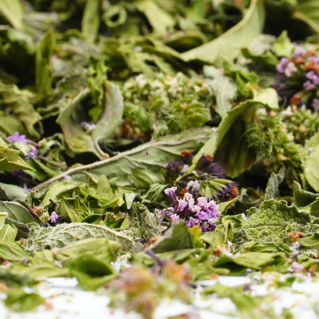 Infusion à la Menthe Bio Nature TRIO deMENTA Bergamote