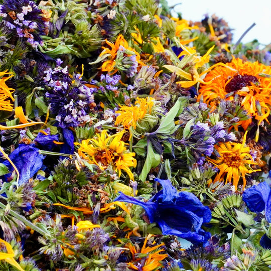 Infusion Bio Nature FLEURS D’ÉTÉ