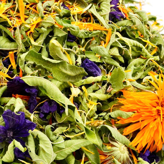 Infusion Bio Nature Harmonie HARMONY