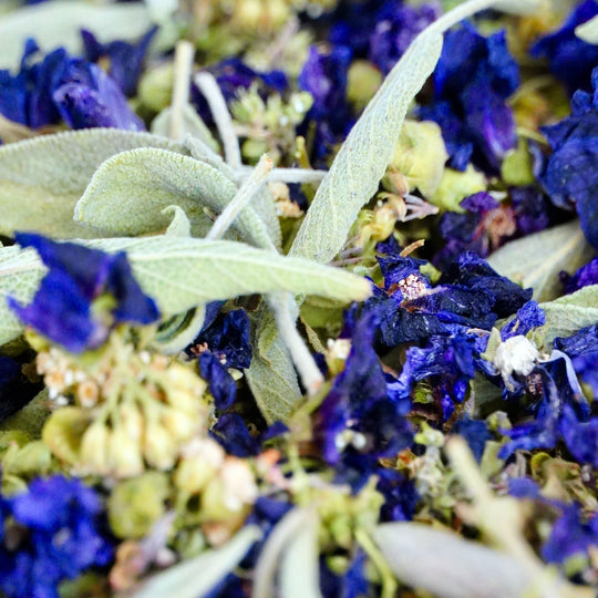 Infusion Bio Nature Hiver WINTER