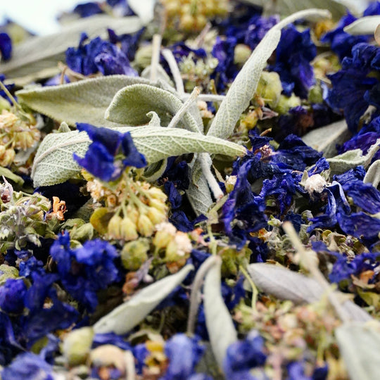 Infusion Bio Nature Hiver WINTER