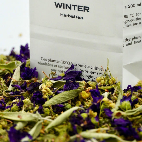 Infusion Bio Nature Hiver WINTER