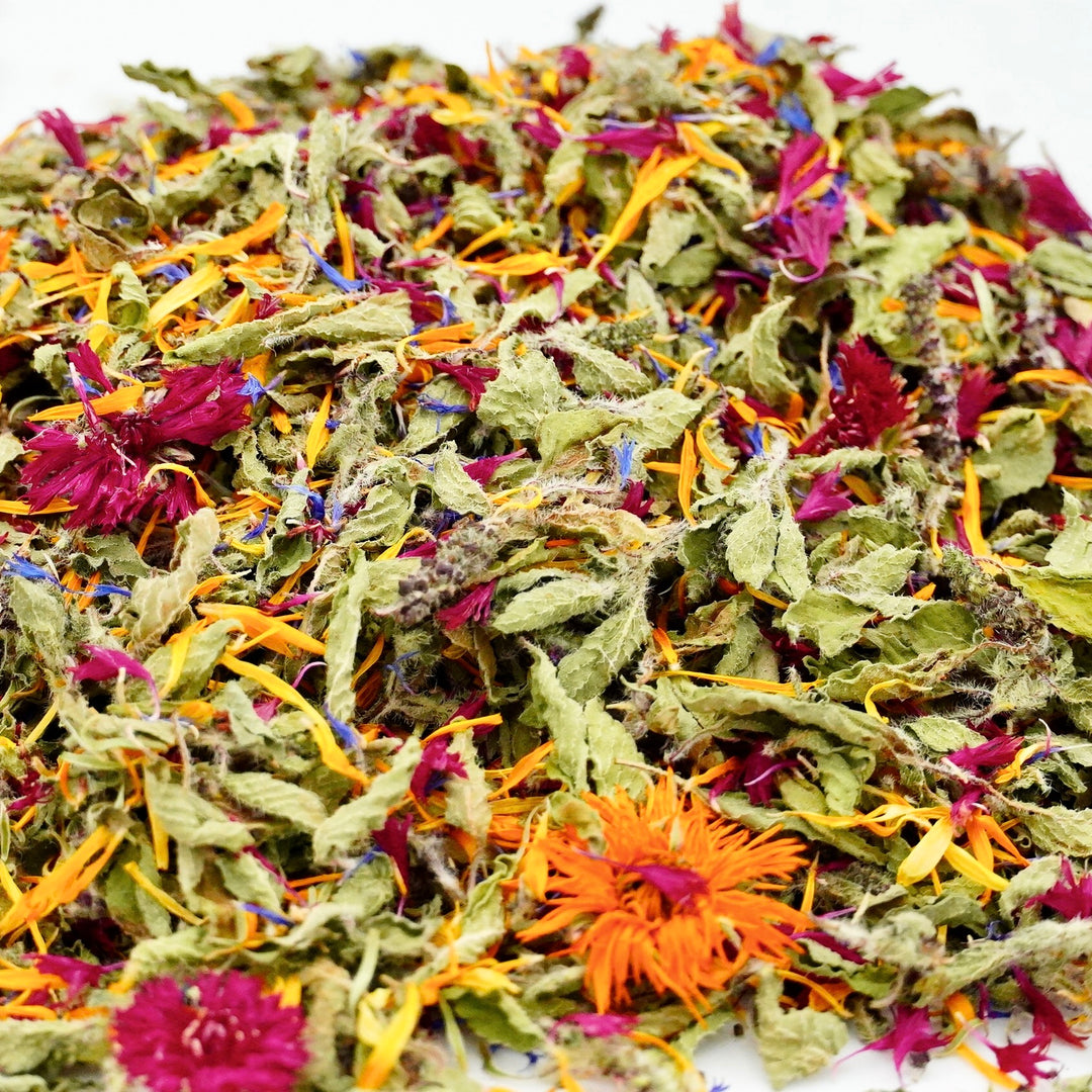 Infusion Bio Nature YOGA