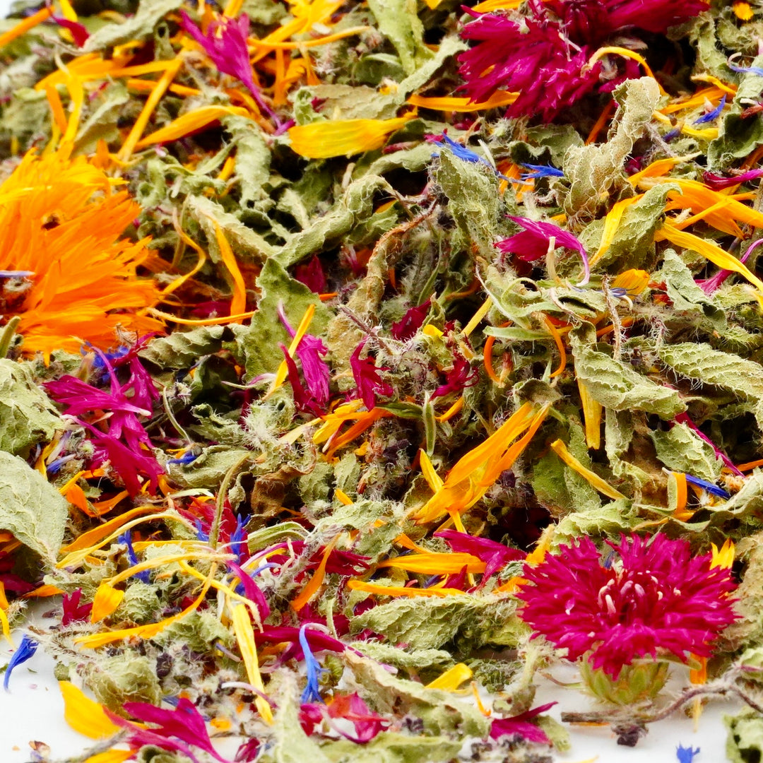 Infusion Bio Nature YOGA
