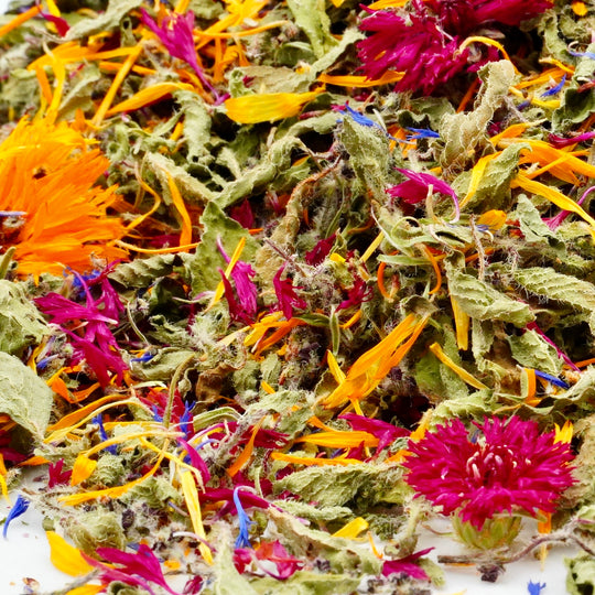 Infusion Bio Nature YOGA