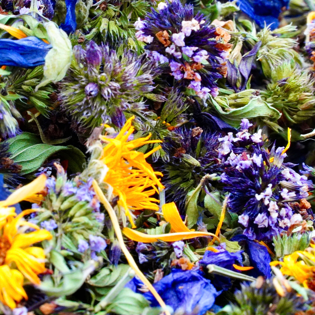 Infusion Bio Nature FLEURS D’ÉTÉ