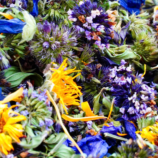 Infusion Bio Nature FLEURS D’ÉTÉ