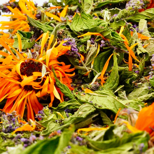 Infusion Bio Nature Été SUMMER