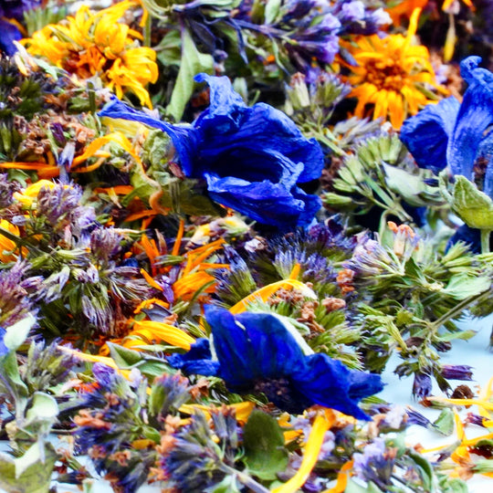 Infusion Bio Nature FLEURS D’ÉTÉ