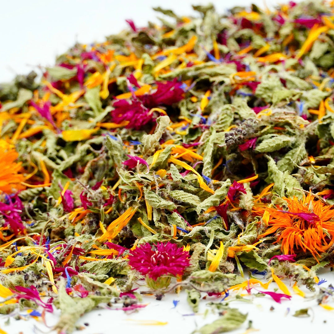 Infusion Bio Nature YOGA