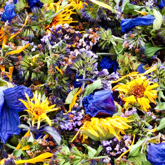 Infusion Bio Nature FLEURS D’ÉTÉ