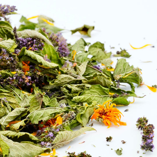 Infusion Bio Nature Été SUMMER