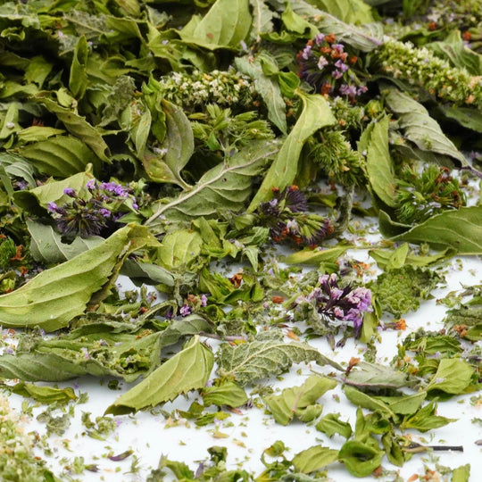 Infusion à la Menthe Bio Nature TRIO deMENTA Bergamote