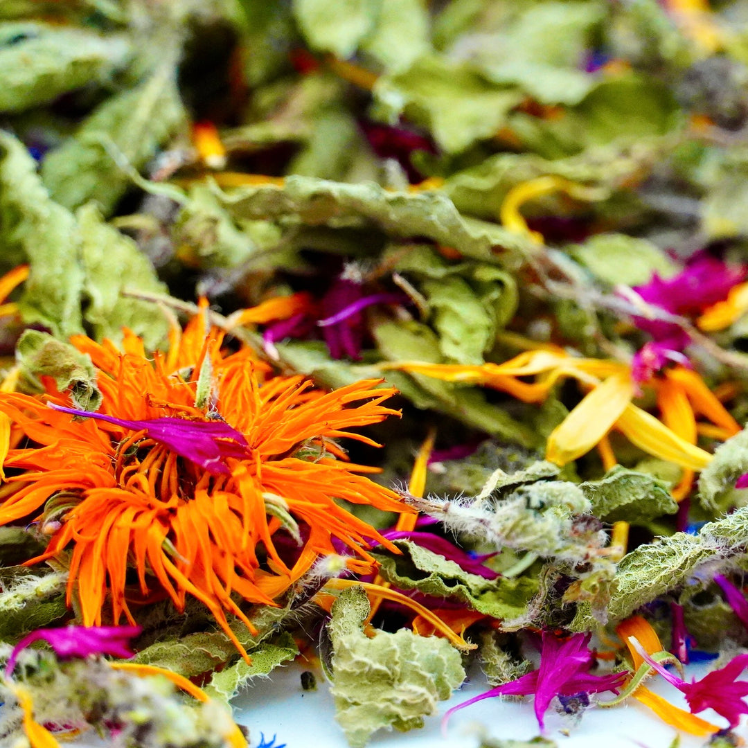 Infusion Bio Nature YOGA