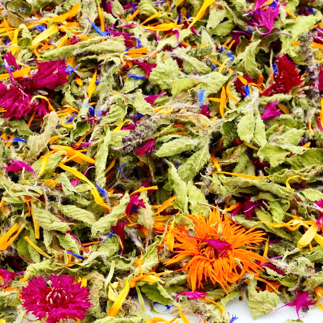 Infusion Bio Nature YOGA