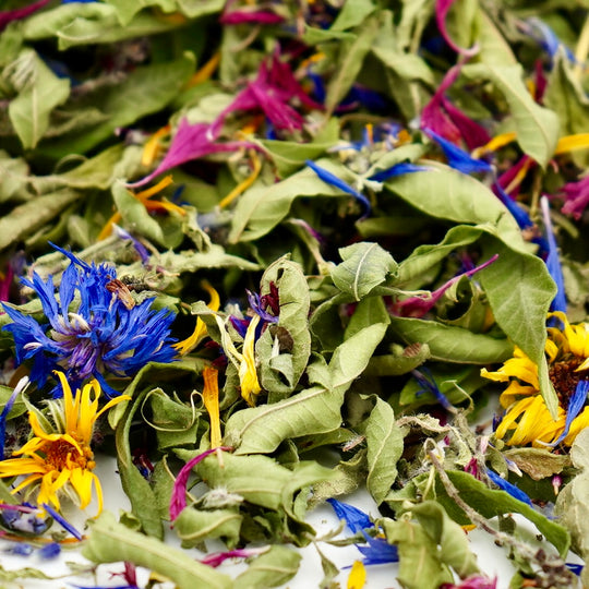 Infusion Bio Nature OSEZ LA LIBERTÉ