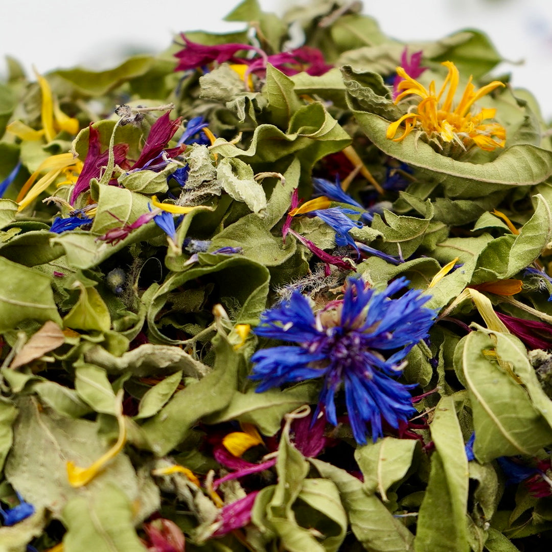 Infusion Bio Nature OSEZ LA LIBERTÉ