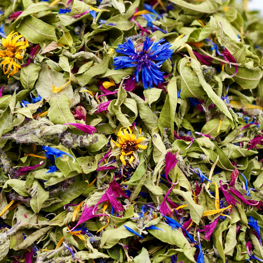 Infusion Bio Nature OSEZ LA LIBERTÉ