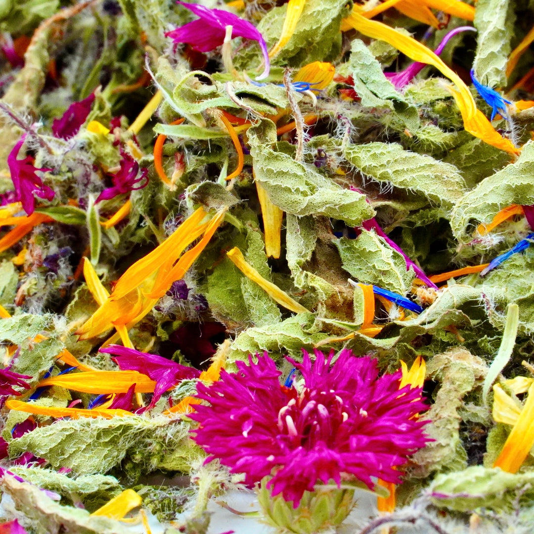Infusion Bio Nature YOGA