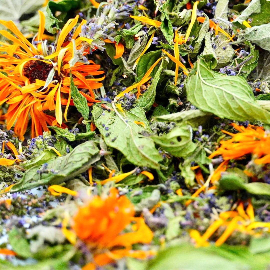 Infusion Bio Nature Été SUMMER