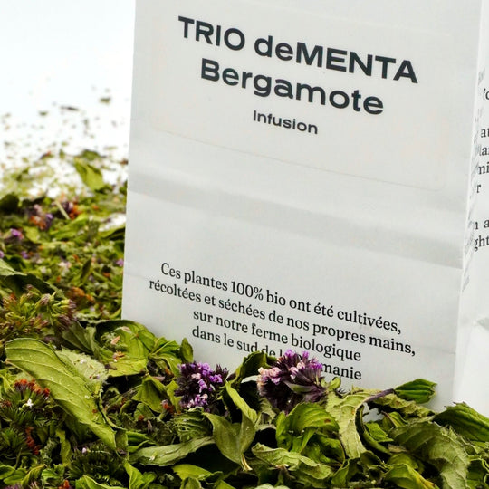 Infusion à la Menthe Bio Nature TRIO deMENTA Bergamote