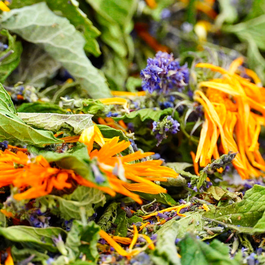 Infusion Bio Nature Été SUMMER