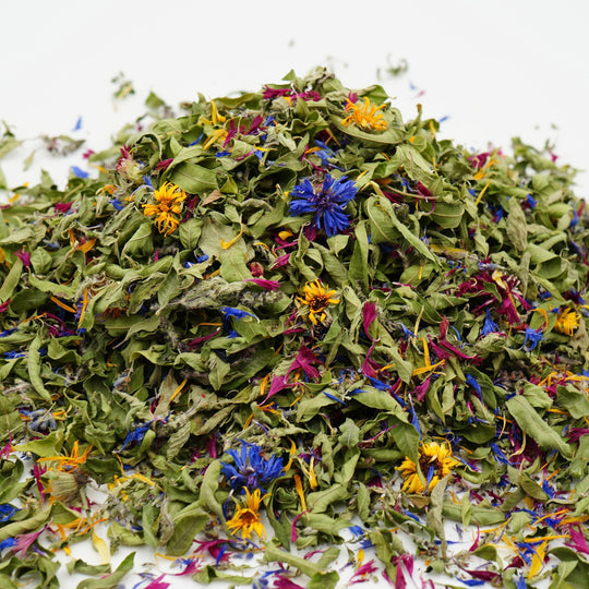 Infusion Bio Nature OSEZ LA LIBERTÉ