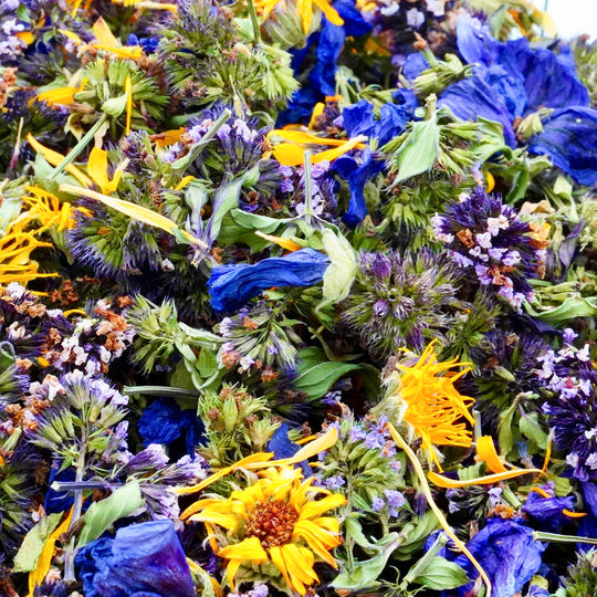 Infusion Bio Nature FLEURS D’ÉTÉ