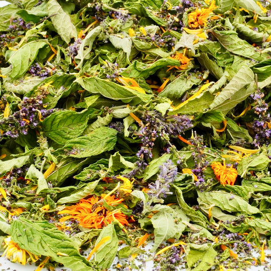 Infusion Bio Nature Été SUMMER