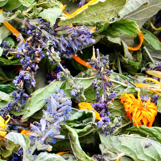 Infusion Bio Nature Été SUMMER